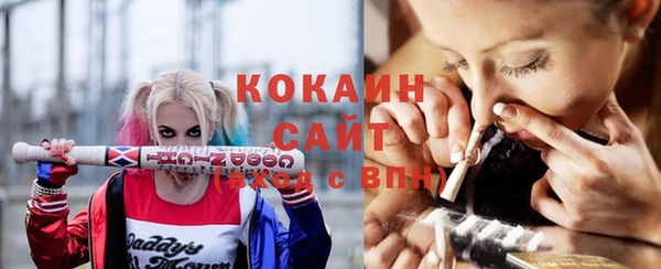 ГАЛЛЮЦИНОГЕННЫЕ ГРИБЫ Елабуга