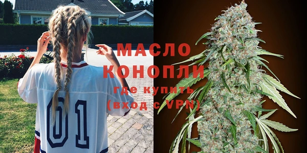 стаф Ельня