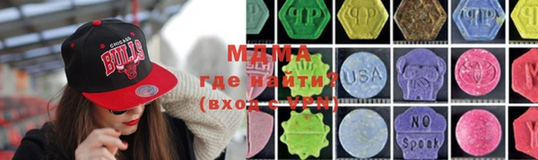 стаф Ельня