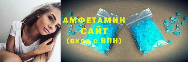 стаф Ельня