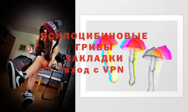 стаф Ельня