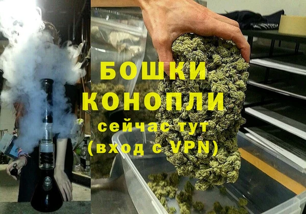 ГАЛЛЮЦИНОГЕННЫЕ ГРИБЫ Елабуга
