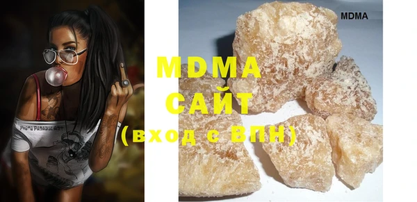 стаф Ельня