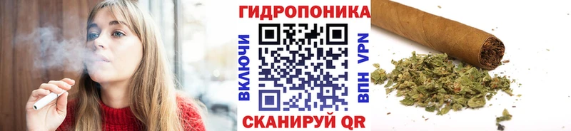 Бошки марихуана VHQ  MEGA tor  Железногорск-Илимский 